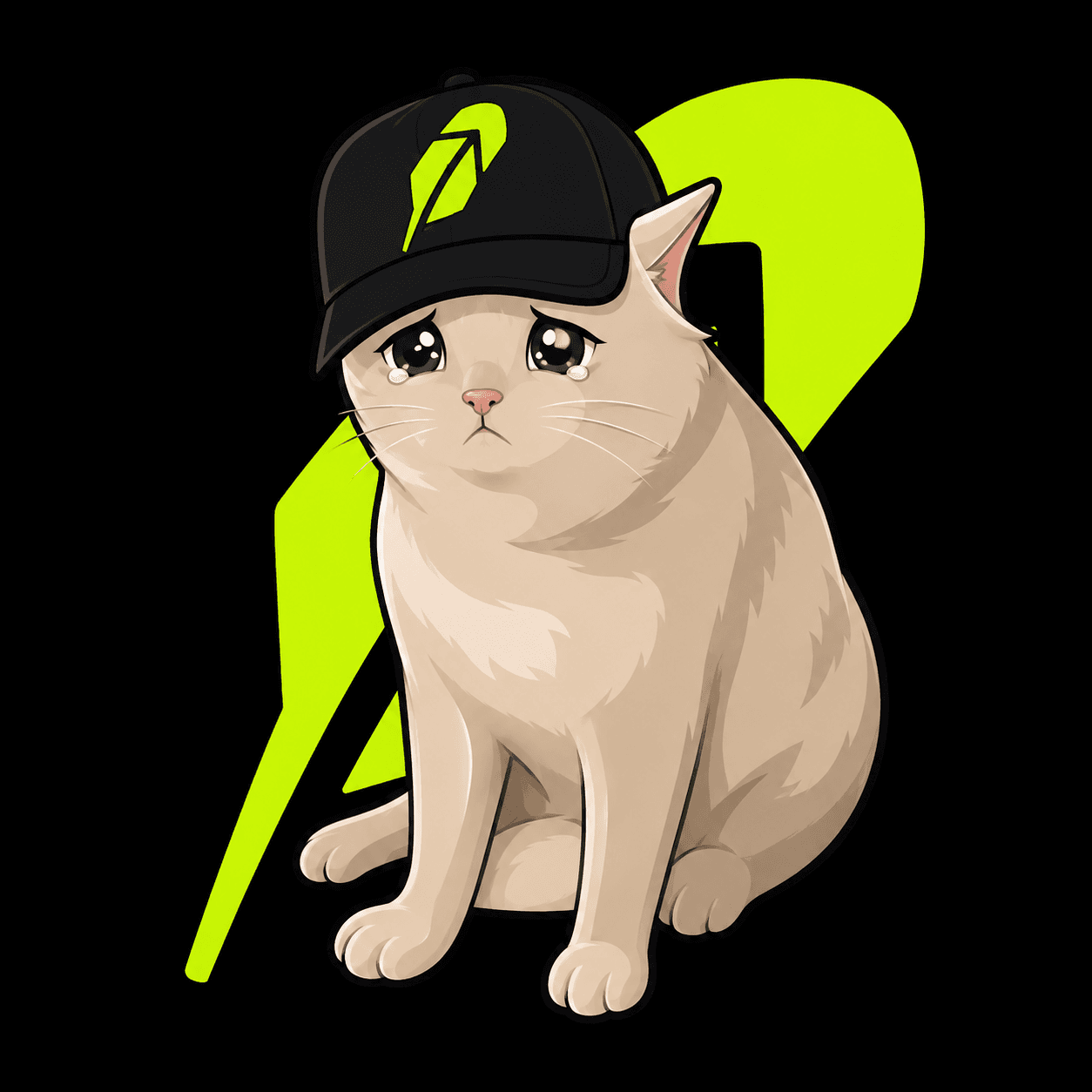The CashCat mascot: a teary cat in a Robinhood cap